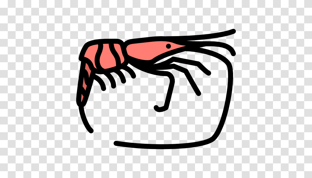 Shrimp Clipart Icon, Animal, Crawdad, Seafood, Sea Life Transparent Png