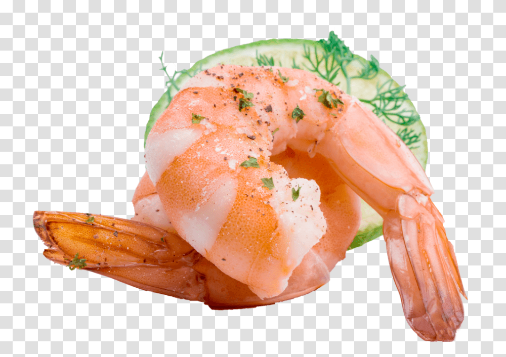 Shrimp Clipart Shrimp Food, Seafood, Sea Life, Animal Transparent Png
