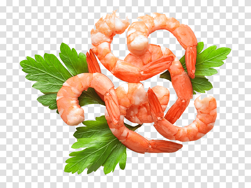 Shrimp Curled Around Decorative Parsley Scampi, Seafood, Sea Life, Animal, Flamingo Transparent Png