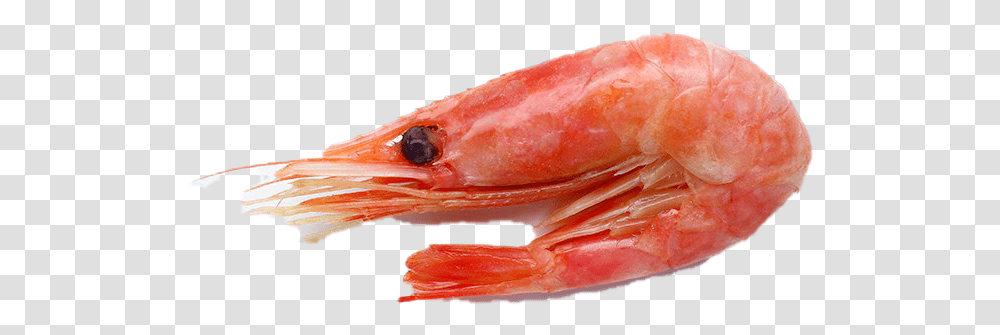 Shrimp Download Image Caridean Shrimp, Food, Seafood, Animal, Sea Life Transparent Png