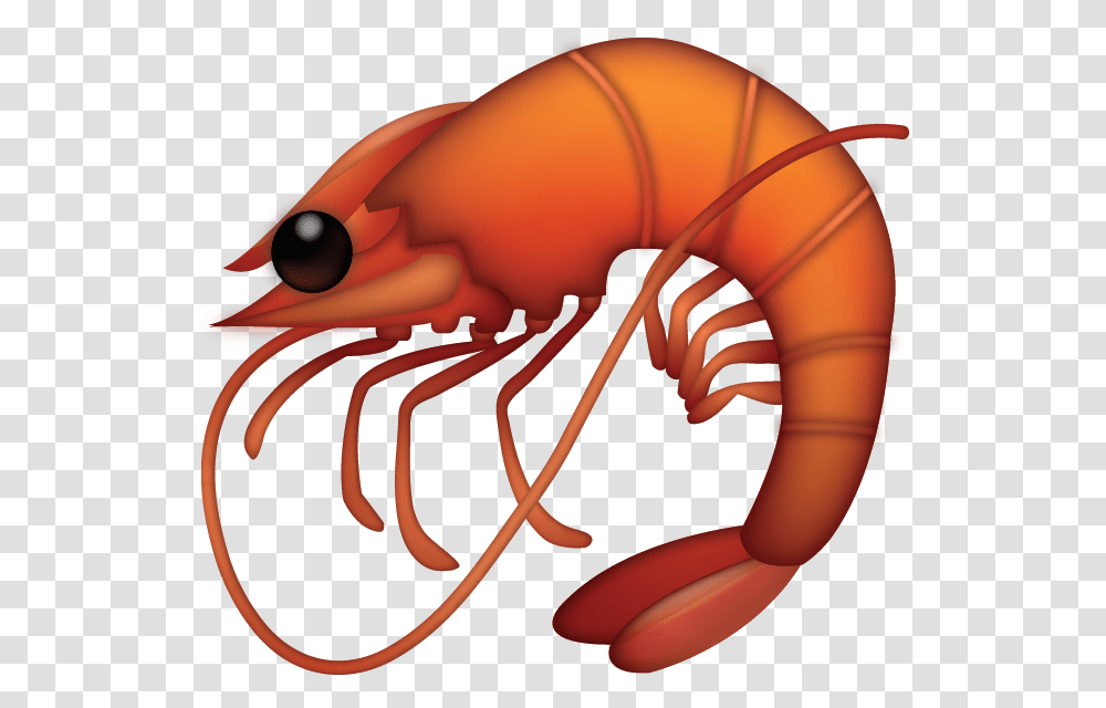 Shrimp Emoji, Crawdad, Seafood, Sea Life, Animal Transparent Png