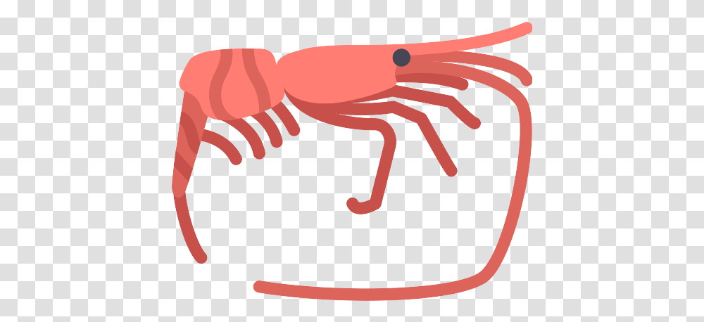 Shrimp Icons And Graphics Icon, Animal, Seafood, Sea Life, Crawdad Transparent Png