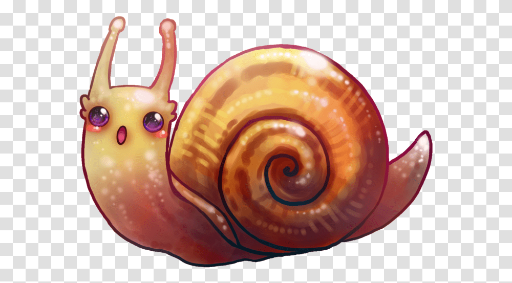 Shrimp Kawaii Snail, Invertebrate, Animal Transparent Png