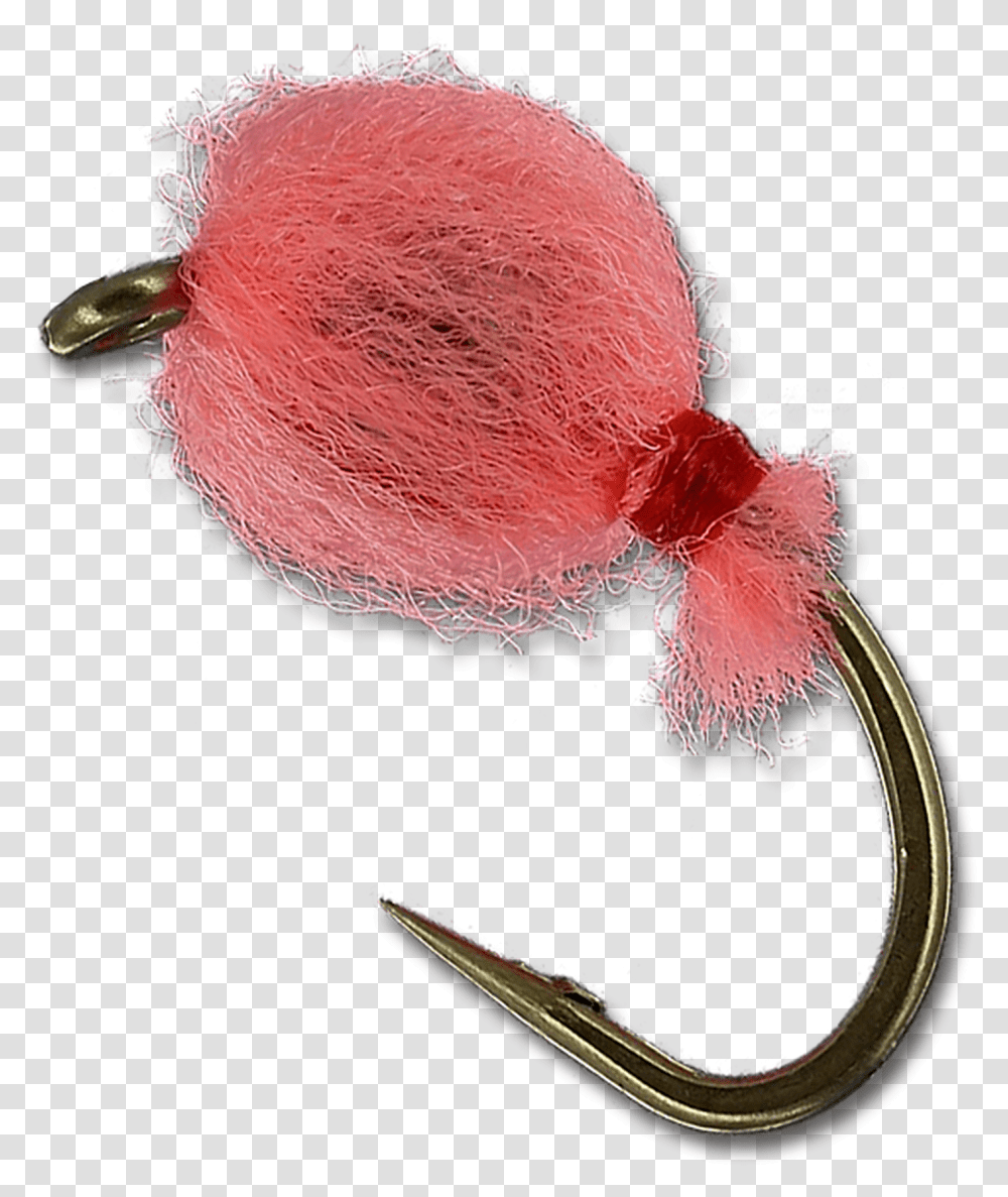 Shrimp Pink Invertebrate, Fungus Transparent Png