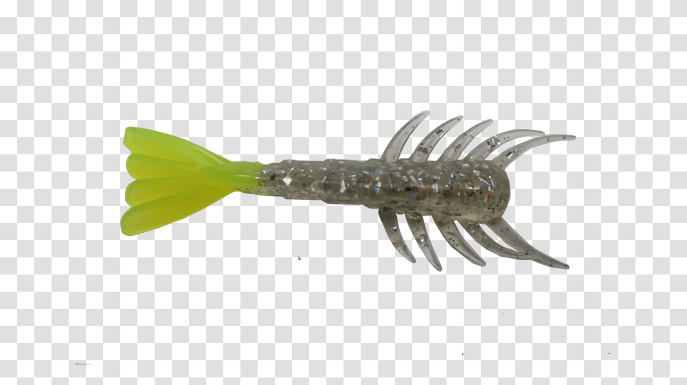 Shrimp, Seafood, Sea Life, Animal, Fish Transparent Png