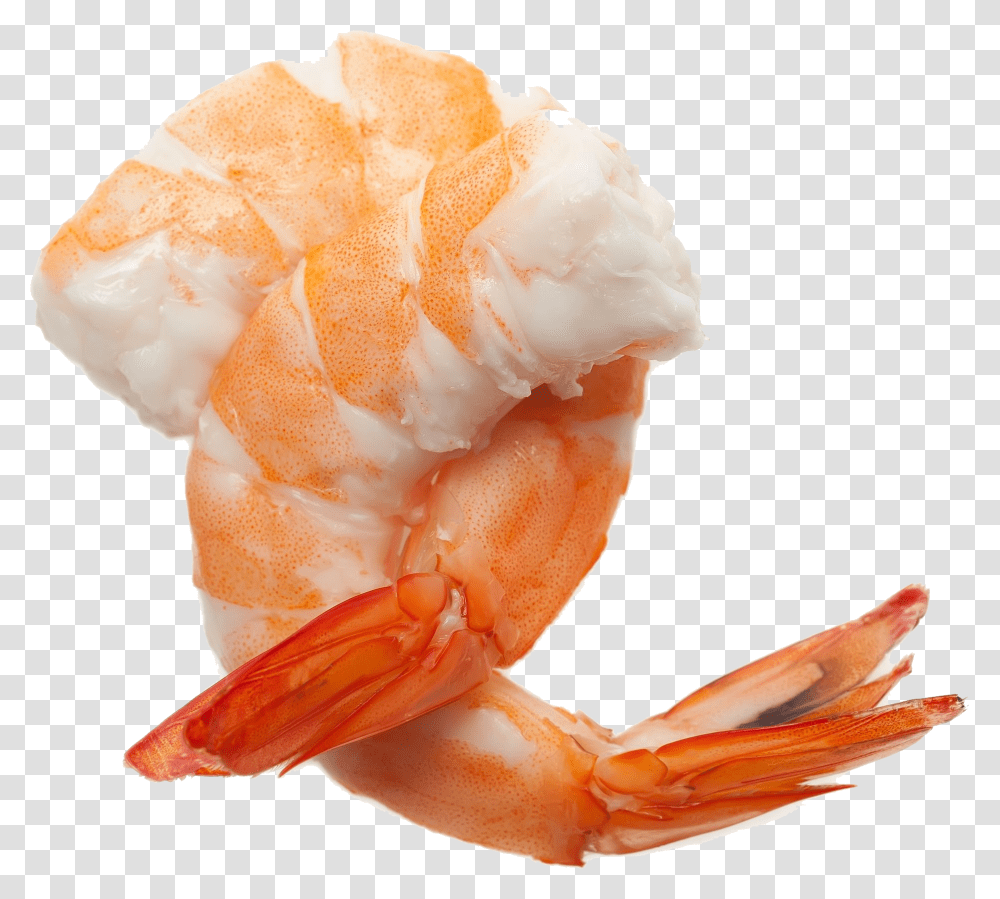 Shrimp, Seafood, Sea Life, Animal Transparent Png