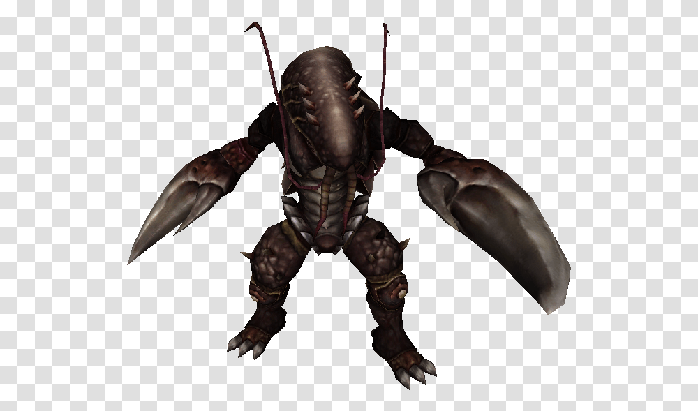 Shrimp Soldier, Person, Human, Animal, Alien Transparent Png