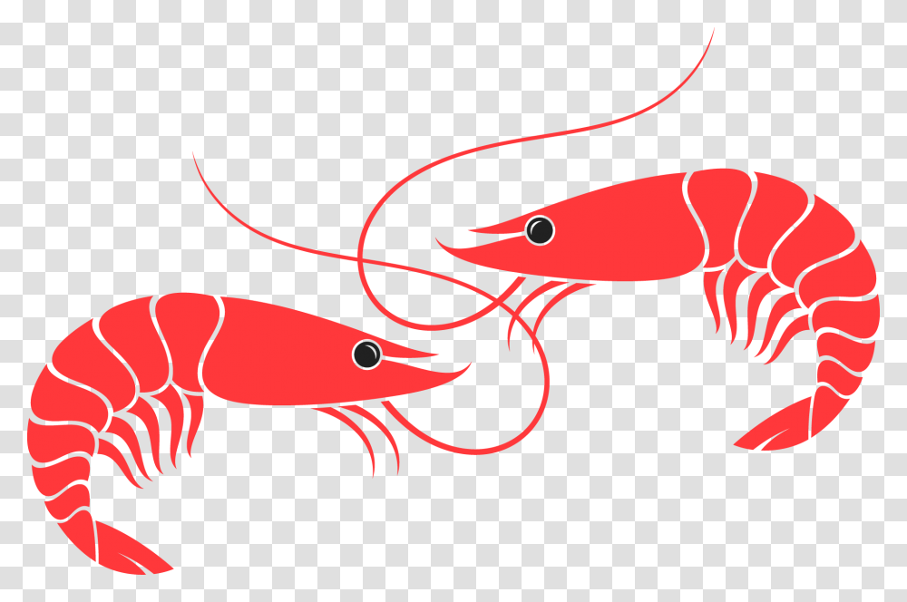 Shrimps, Animals, Seafood, Sea Life, Crawdad Transparent Png