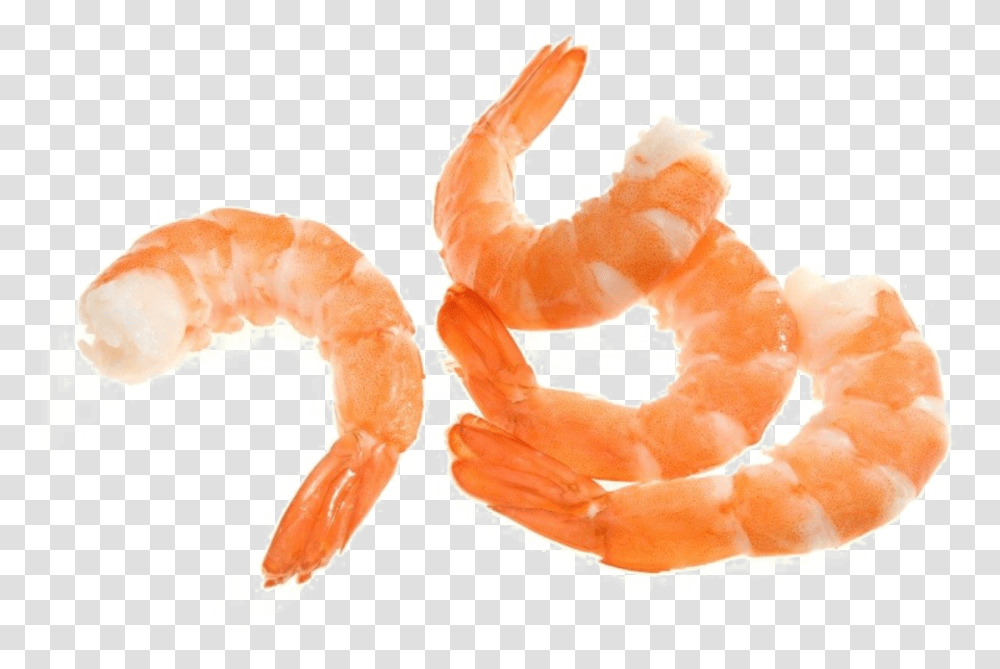Shrimps, Animals, Seafood, Sea Life, Peel Transparent Png