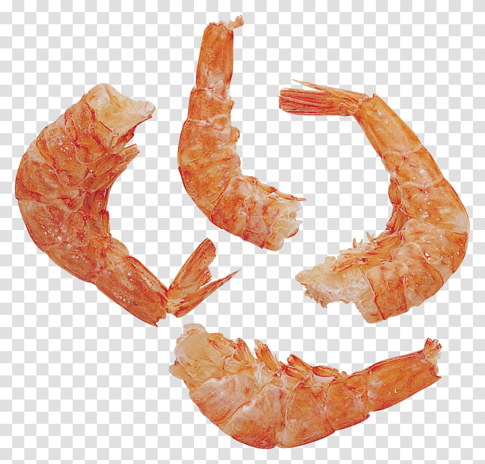 Shrimps, Animals, Seafood, Sea Life Transparent Png