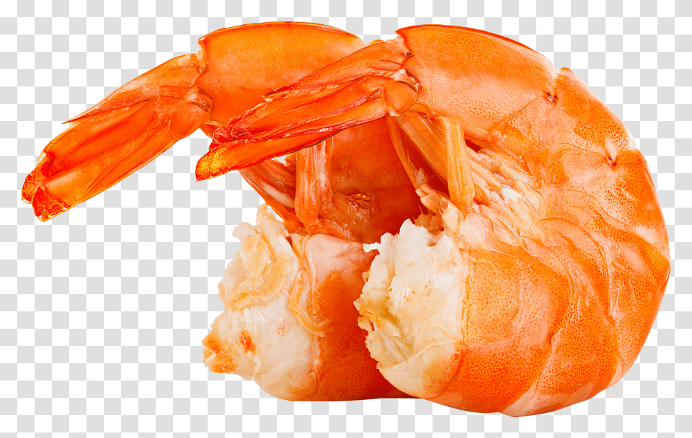 Shrimps, Animals Transparent Png