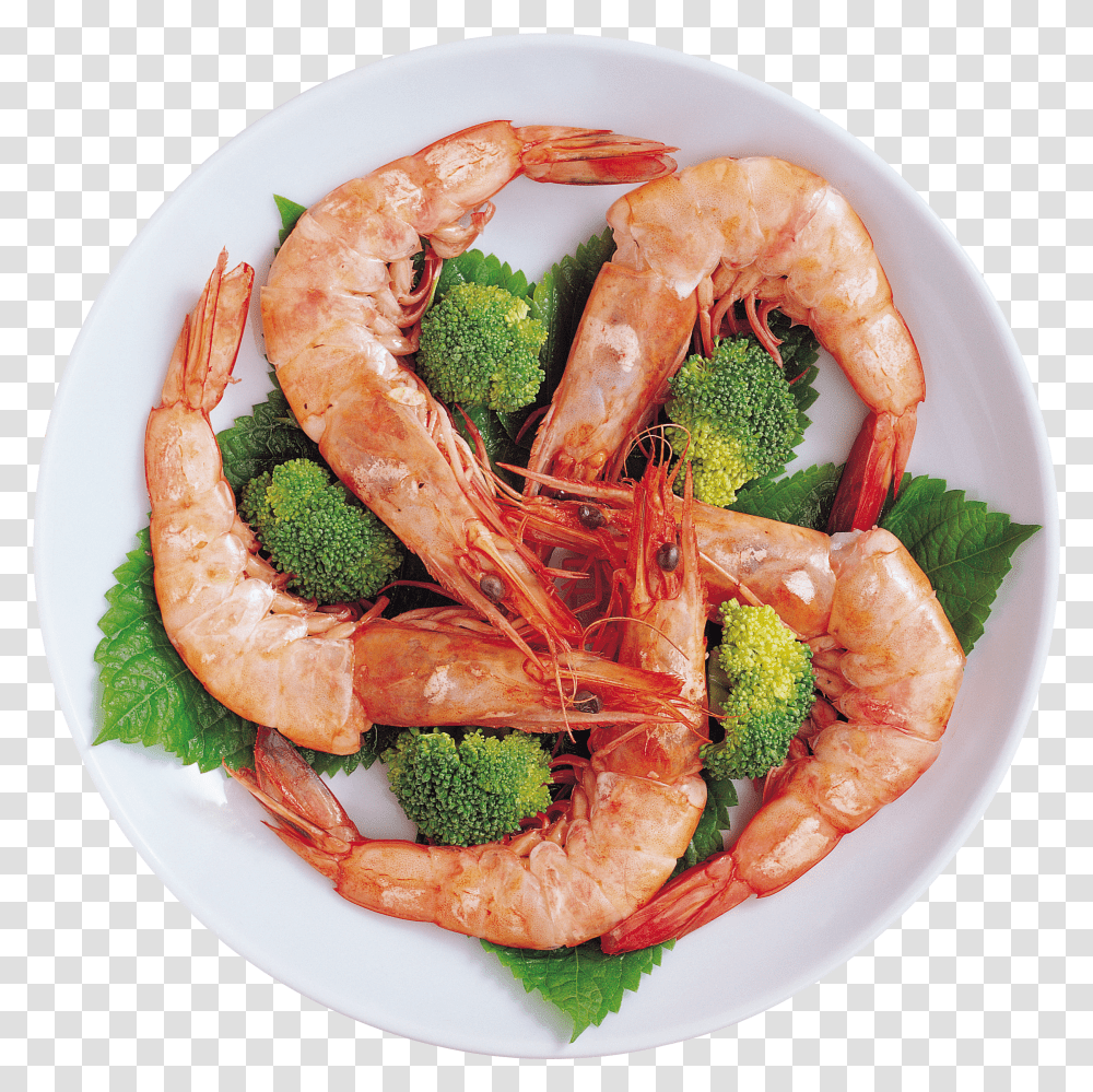 Shrimps, Animals Transparent Png