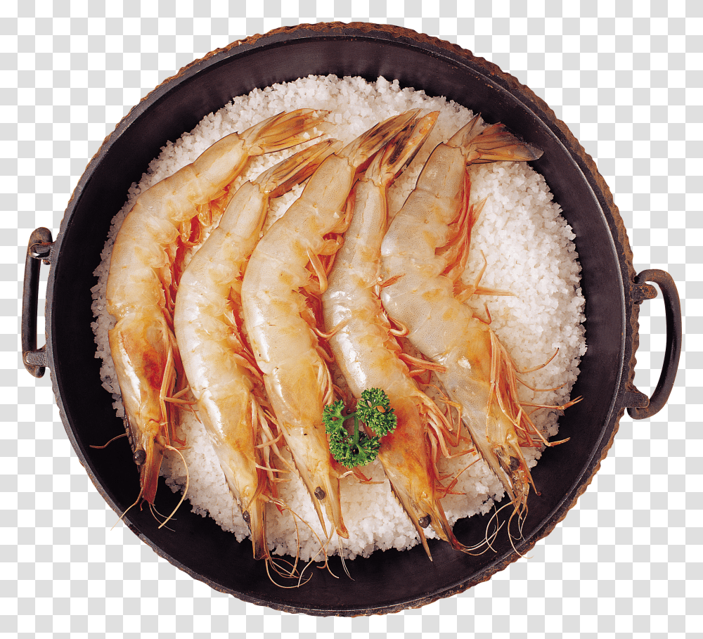 Shrimps, Animals Transparent Png