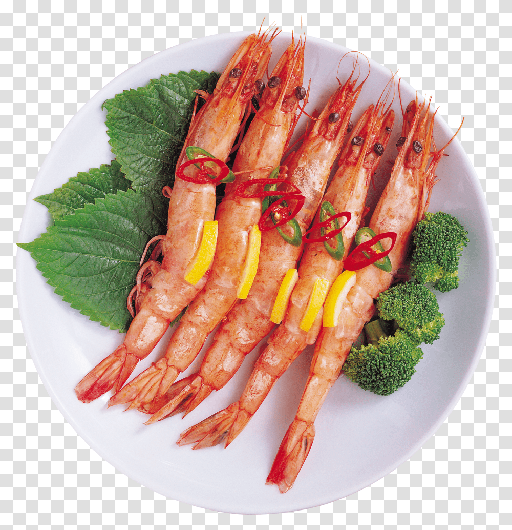 Shrimps, Animals Transparent Png