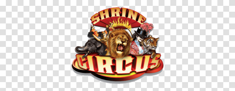 Shrine Circus Logo Shrine Circus Logo, Leisure Activities, Birthday Cake, Mammal, Animal Transparent Png