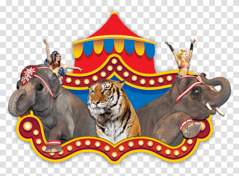 Shrine Circus Tigers And Elephants, Leisure Activities, Wildlife, Mammal, Animal Transparent Png