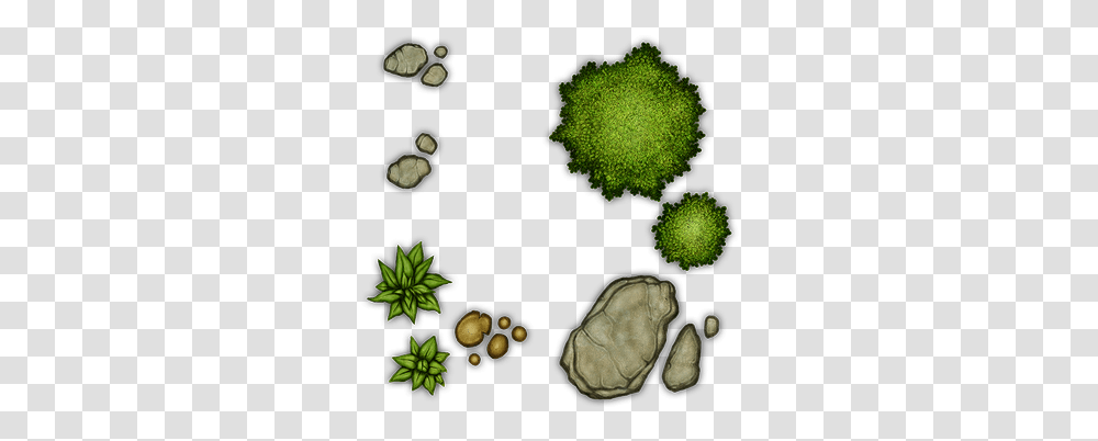 Shrub 3hipng 361365 Dungeons And Dragons Art Dungeon, Plant, Green, Algae, Vegetable Transparent Png