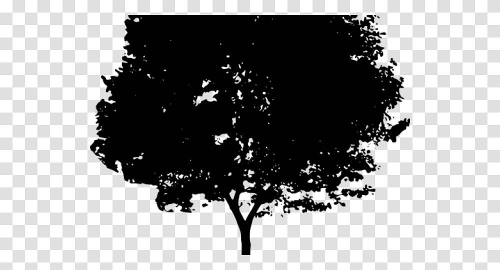 Shrub Bushes Clipart Old Tree Qi Gong, Gray, World Of Warcraft Transparent Png