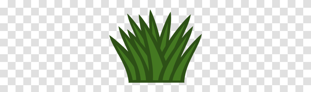 Shrub Clipart, Plant, Leaf, Grass Transparent Png