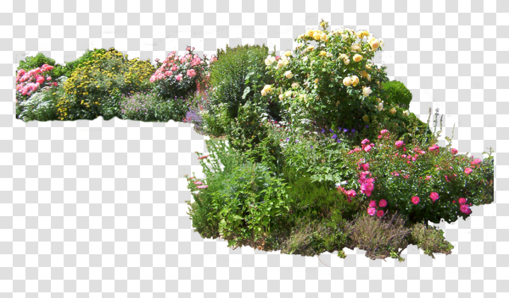Shrub, Outdoors, Garden, Plant, Arbour Transparent Png