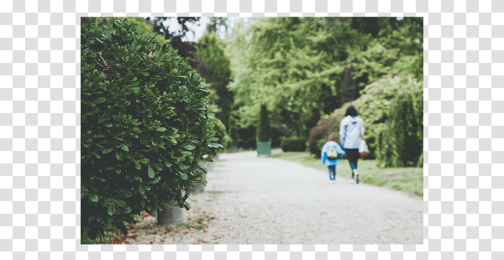 Shrub Plan, Person, Path, Outdoors, Walking Transparent Png