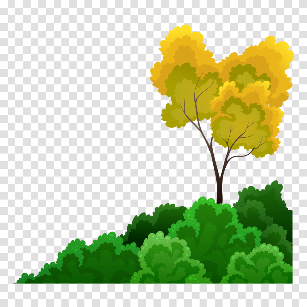Shrubs And Tree Download Free Vectors Clipart Graphics Arboles Rey Leon, Green, Plant, Floral Design, Vegetation Transparent Png