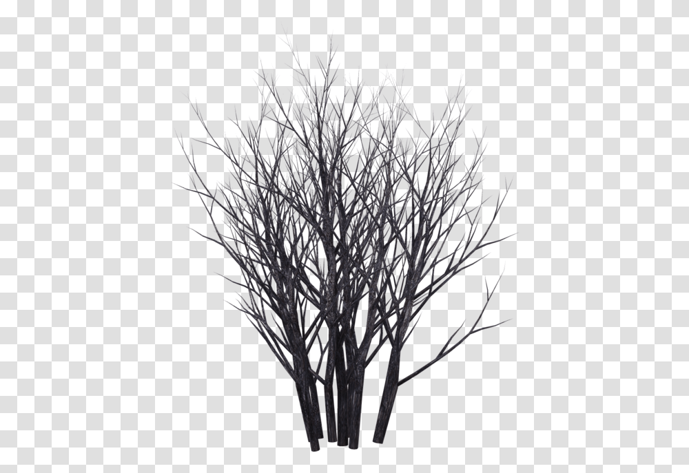 Shrubs Black And White Monochrome, Tree, Plant, Tree Trunk, Silhouette Transparent Png