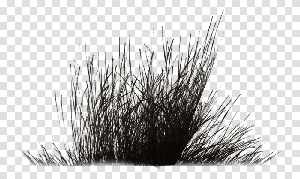 Shrubs Clipart Black And White, Nature, Outdoors, Ice, Night Transparent Png