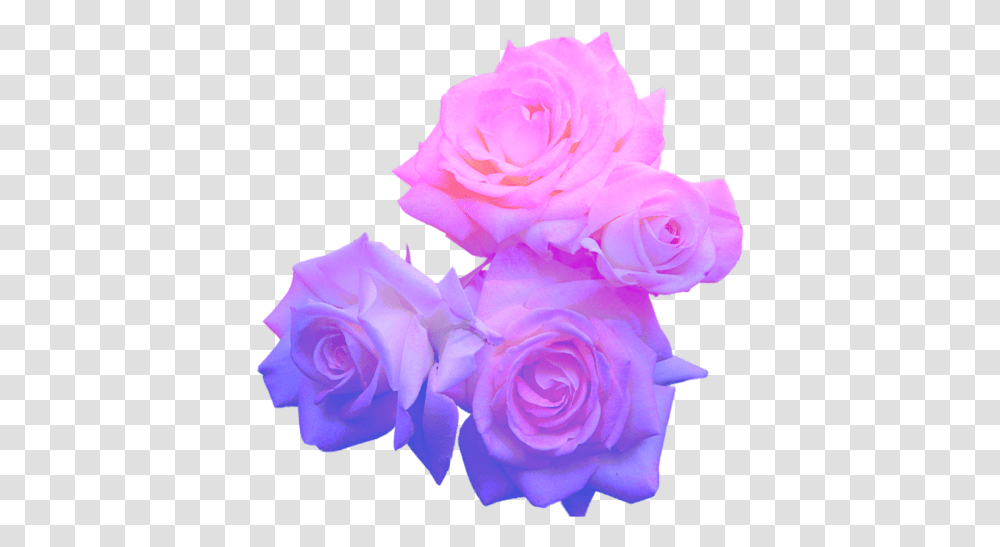 Shrugging Emoji Pastel Purple Flower Full Size Aesthetic Flowers, Rose, Plant, Blossom, Petal Transparent Png