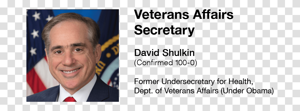 Shulkin Profile Official, Suit, Person, Tie, Crowd Transparent Png
