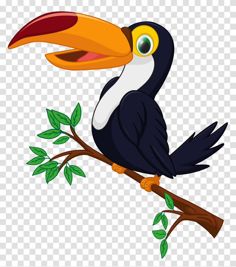 Shutterstock, Animal, Beak, Bird, Toucan Transparent Png