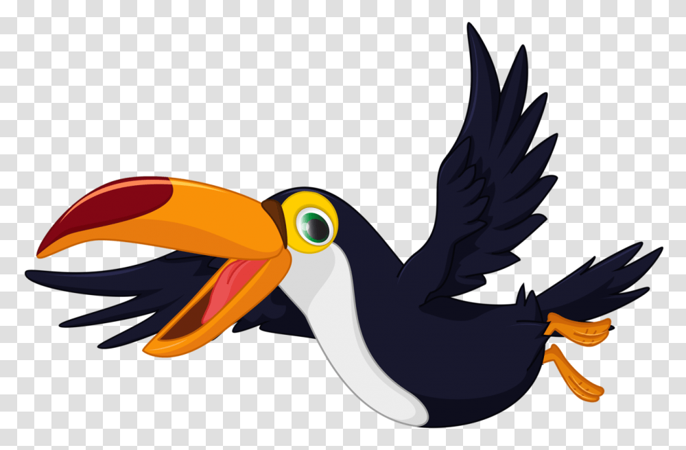 Shutterstock, Animal, Bird, Beak, Toucan Transparent Png