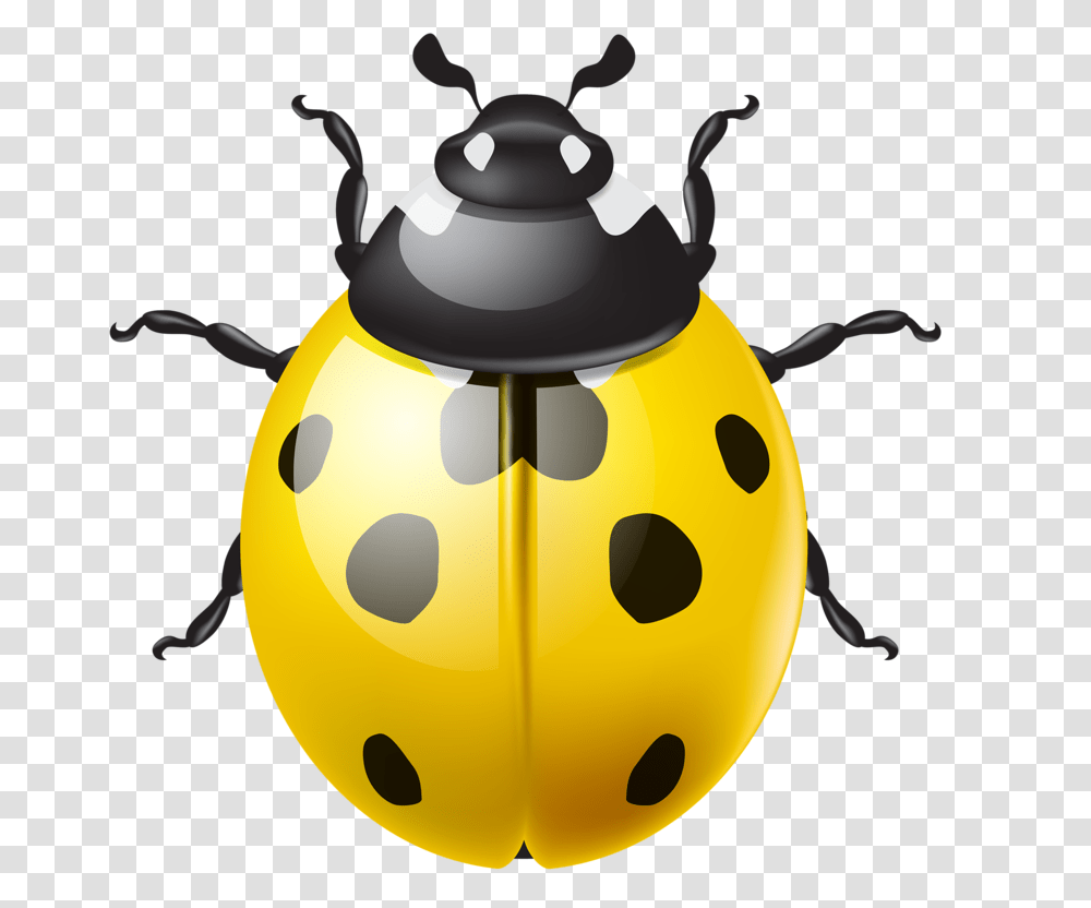 Shutterstock, Animal, Invertebrate, Grenade, Bomb Transparent Png