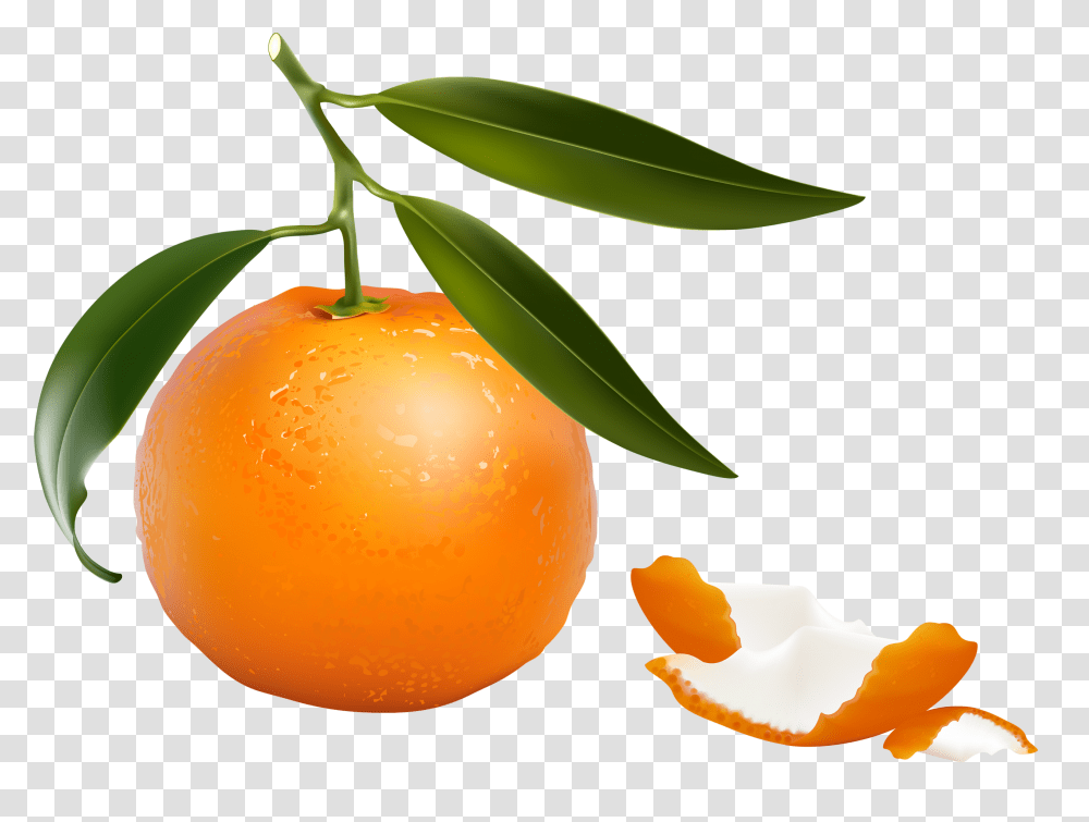 Shutterstock Fruit And Vegetables Clip Art Two, Plant, Citrus Fruit, Food, Orange Transparent Png