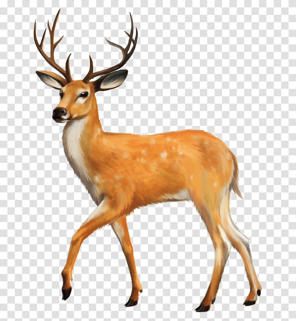 Shutterstock Printables For Kids Clip Art, Antelope, Wildlife, Mammal, Animal Transparent Png
