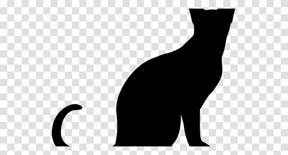 Siamese Cat Clipart Clip Art, Animal, Mammal, Wildlife, Pet Transparent Png