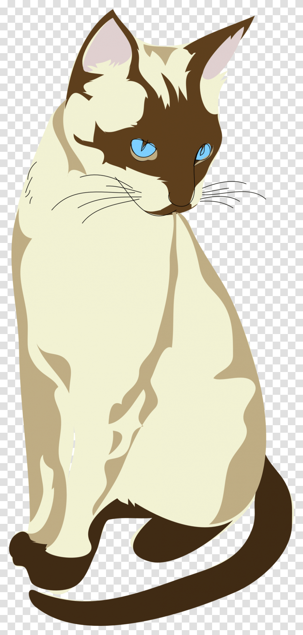 Siamese Cat Clipart Drawing, Mammal, Animal, Pet, Abyssinian Transparent Png