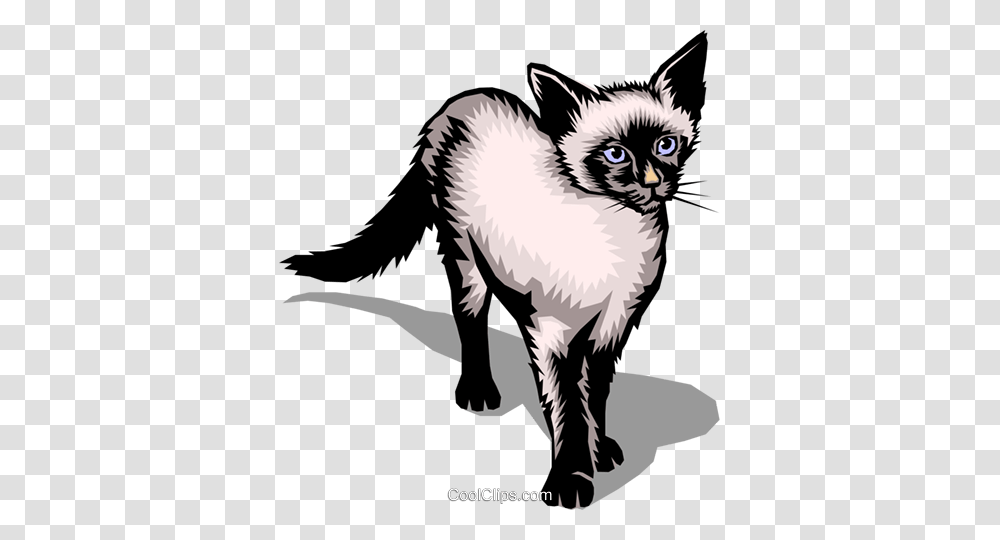 Siamese Cat Royalty Free Vector Clip Art Illustration, Pet, Mammal, Animal, Bird Transparent Png