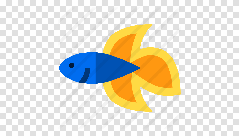 Siamese Fighting Fish, Animal, Tuna, Sea Life Transparent Png