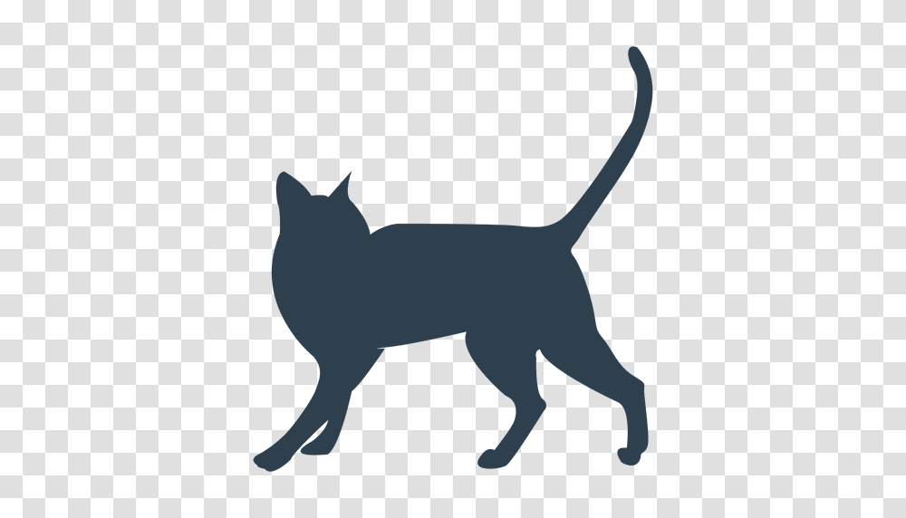 Siamesse Cat Walking Silhouette, Pet, Animal, Mammal, Outdoors Transparent Png