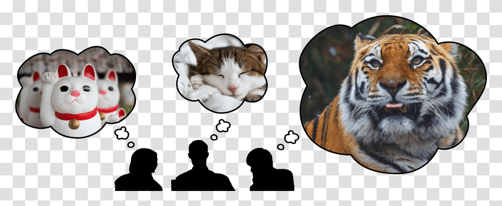 Siberian Tiger, Animal, Mammal, Cat, Pet Transparent Png