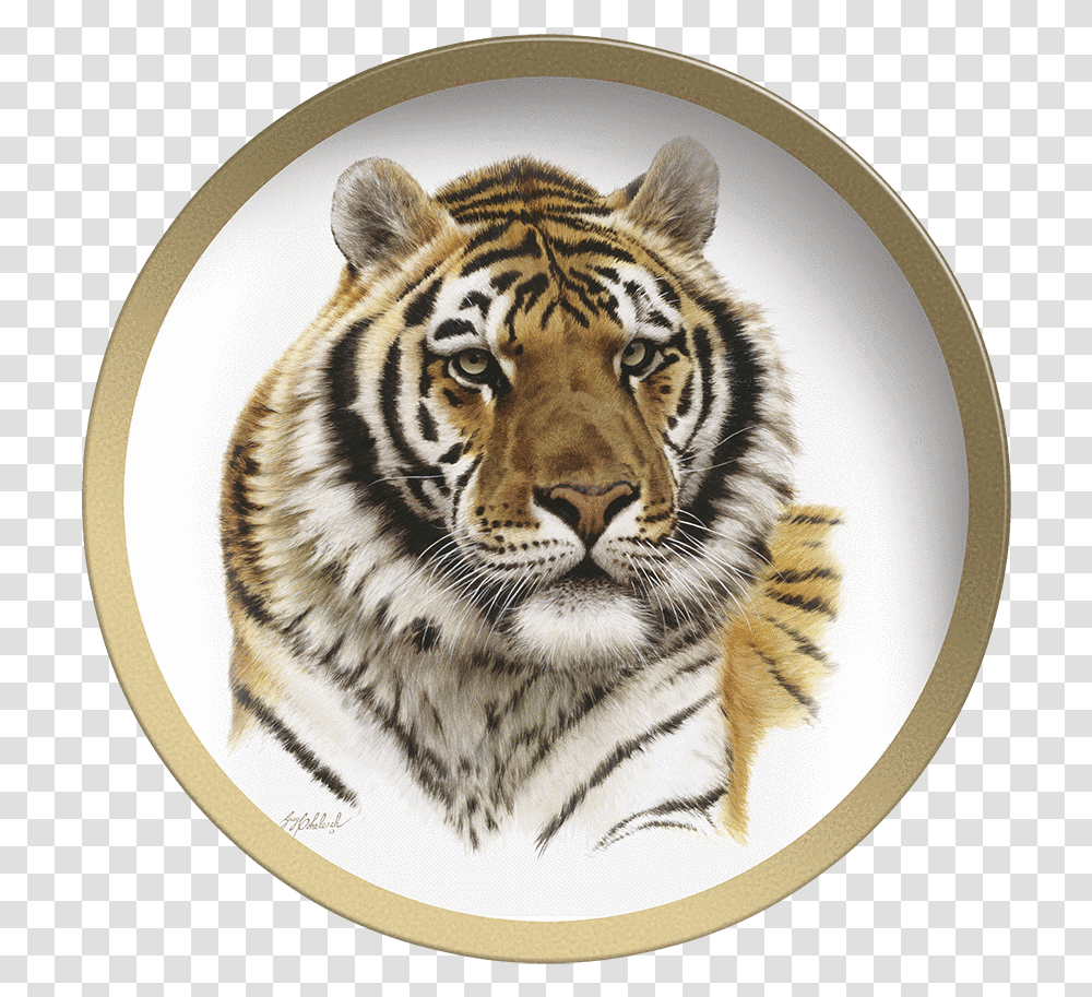 Siberian Tiger Head Guy Coheleach Siberian Tiger Head, Wildlife, Mammal, Animal Transparent Png