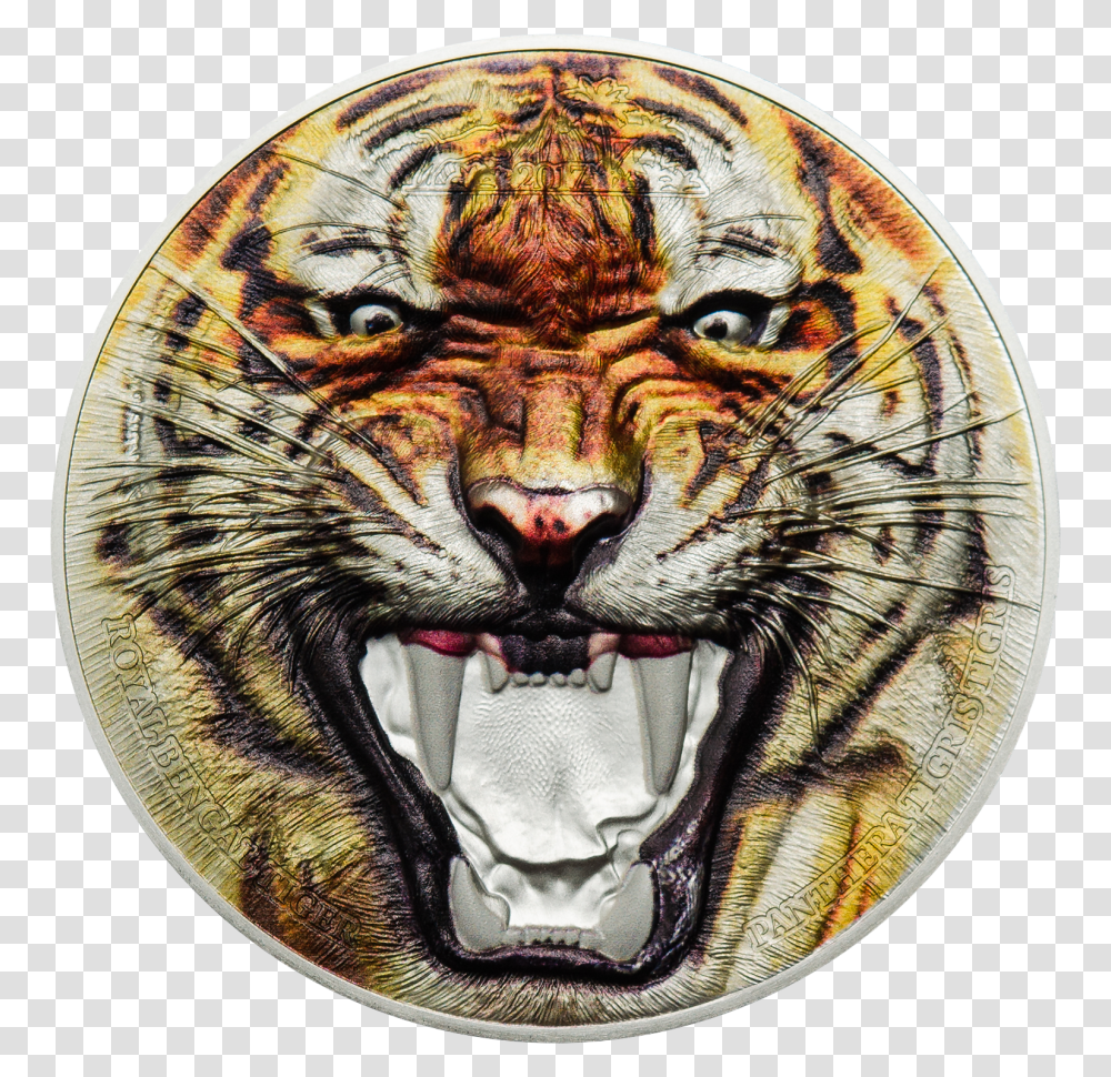 Siberian Tiger, Wildlife, Mammal, Animal, Cat Transparent Png