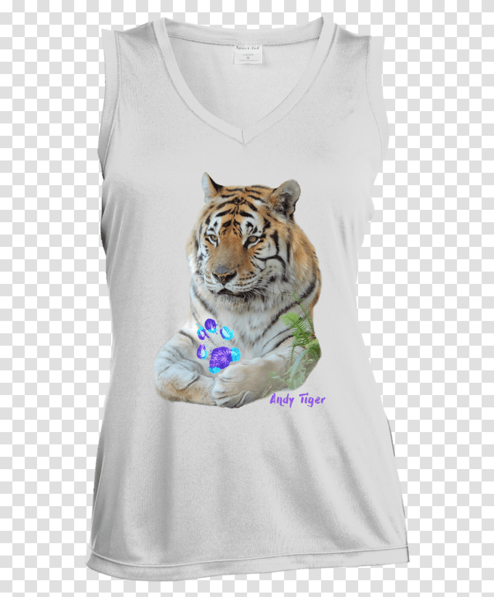 Siberian Tiger, Wildlife, Mammal, Animal Transparent Png