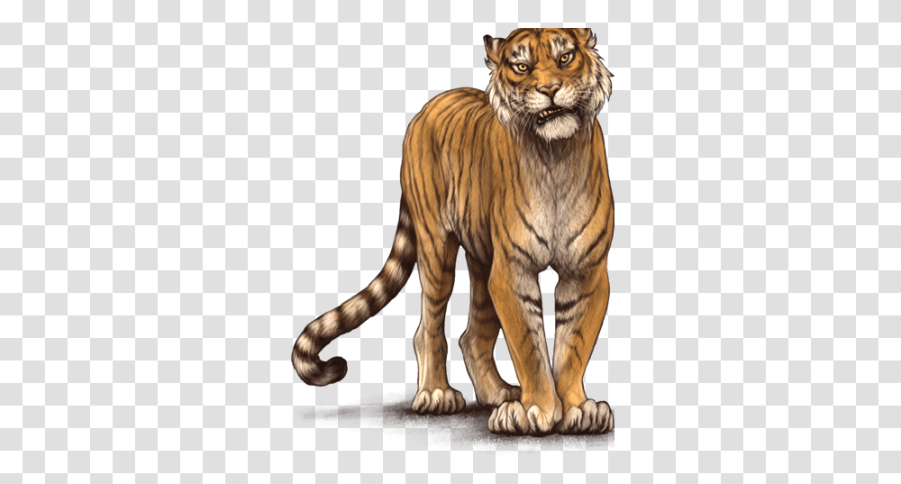 Siberian Tiger, Wildlife, Mammal, Animal, Lion Transparent Png