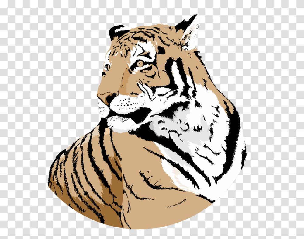 Siberian Tiger, Wildlife, Mammal, Animal Transparent Png