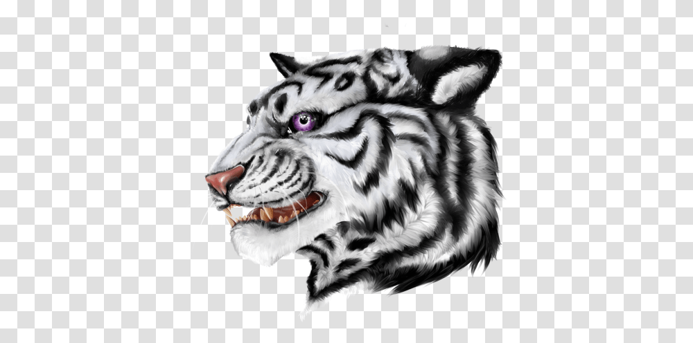 Siberian Tiger, Wildlife, Mammal, Animal Transparent Png