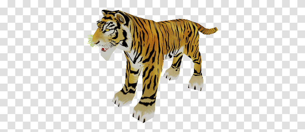 Siberian Tiger, Wildlife, Mammal, Animal, Zebra Transparent Png