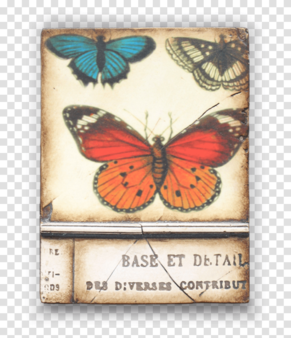 Sid Dickens Butterfly Tile, Insect, Invertebrate, Animal, Monarch Transparent Png