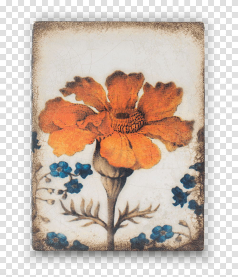 Sid Dickens Marigold, Floral Design, Pattern Transparent Png